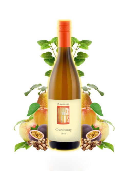 Eine Flasche Chardonnay 2022, umgeben von den Geschmäckern